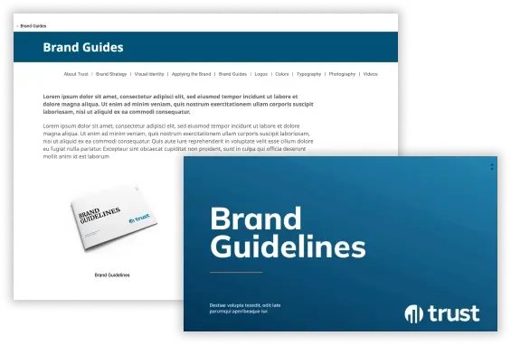 Brand guidelines, Strategy and Visual identity